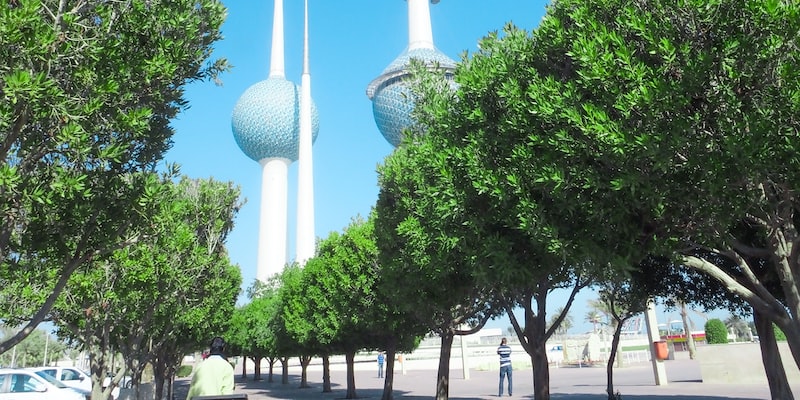 Why do people from India go to Gulf countries for jobs?